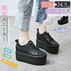 Cq[ Vv Xj[J[ R ҂ݏグ [XAbv y 10cmȏ fB[X 12cm