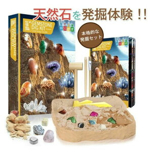 v[g ~x ċx w 7 6 5 ̎q j̎q  eqŊy mߋ @   