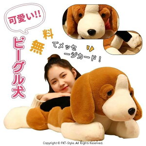 ���� �_�炩 �������� �ӂ�ӂ� �������� �N�b�V���� ���Q�� �������Q ������ �����܂��� �r�[�O���� ��