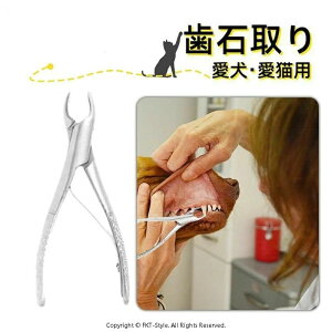 vp L z[PA f^PA   y` Ύ