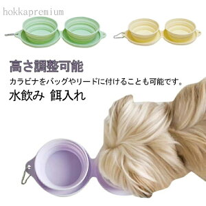 yzEH[^[{E M H a L ybgp ybgp  ybgH ܂肽 gїp  GTM  t[h{E \ VR