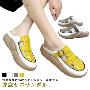 yzr T_   Oǂ T{T_ Xj[J[ fB[X JWAV[Y y ~  ʋC K t Xb|