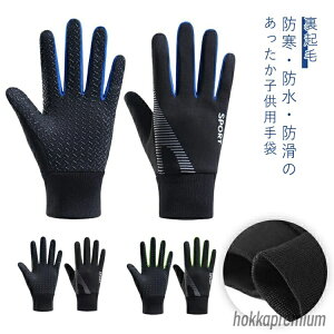 yz LbY LbY hO[u  ~ TbJ[ j̎q TCN qp N t[X X|[cO[u ̎q  WjA h ۉ h