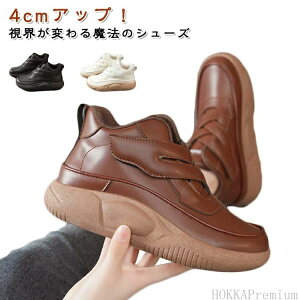 V[Y O  ₷ fB[XV[Y ~ r fB[X ϖ V[Y nCJbgXj[J[