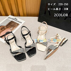 i T_ Y fB[X  傫TCY T_  EFbW\[ W[g NXSxg (3.0cmq[)