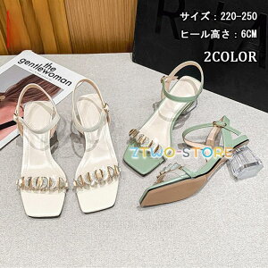 i T_ Y fB[X  傫TCY T_  EFbW\[ W[g NXSxg (6.0cmq[)