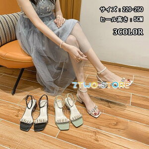 i T_ Y fB[X  傫TCY T_  EFbW\[ W[g NXSxg (5.0cmq[)