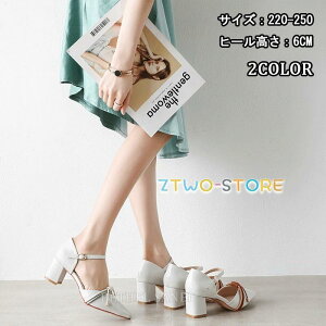 i T_ Y fB[X  傫TCY T_  EFbW\[ W[g NXSxg (6.0cmq[)