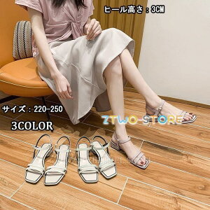 i T_ Y fB[X  傫TCY  jp T_  EFbW\[ W[g NXSxg