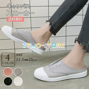 LoX ؂ JWA V[Y ₷ ƂȂ ₷ z y  fB[X C Ȃ Xj[J[ y