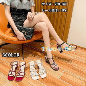  傫TCY W[g EFbW\[ fB[X Y   jp T_ T_ NXSxg i