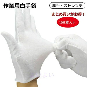  vdl Ɨp  X 100% X ̓ i ip fB[X    v[g Y  \ I 100 ̓ Ǝ dp [ c s 5