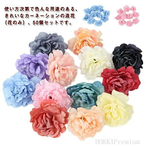 p[c  ̂  J[l[V 50Zbg   J[ nhCh | u[ Ԃт 13F 