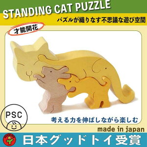 ySALEN[|zyzlR̃X^fBOpY ؂̂ pY ^͂ mߋ ςݖ 3 6 0 1 v[g LO 2 3 4 5 Ԃ  