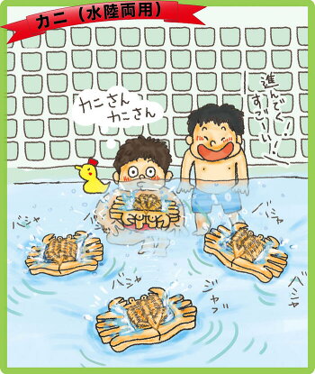 楽天市場 名入れ可 かに 水陸両用 木のおもちゃ お風呂で遊ぼう 6ヶ月 1歳 プレゼント ランキング 2歳 3歳 赤ちゃん おもちゃ 床では輪ゴムを2本使うのがおススメ お風呂で遊ぶ時は輪ゴムを1本にしたほうがゆっくり進みます 木のおもちゃ製作所 銀河工房