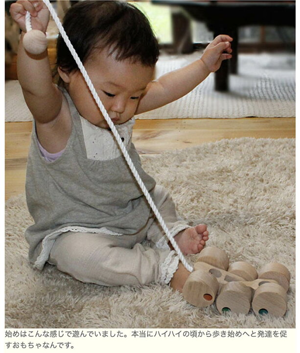 楽天市場 送料無料 六輪車 ミニ 日本製 プルトイ 引き車 木のおもちゃ 車 6ヶ月 7ヶ月 8ヶ月 9ヶ月 11ヶ月 1歳 プレゼント ランキング 2歳 3歳 誕生日ギフト 誕生祝い 出産祝い 型はめ 赤ちゃん おもちゃ 男の子 女の子 カタカタ はいはい 木のおもちゃ製作所