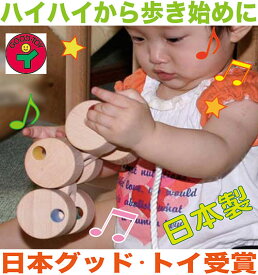 楽天市場 9 ヶ月 赤ちゃん おもちゃの通販