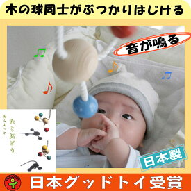 楽天市場 9 ヶ月 赤ちゃん おもちゃの通販