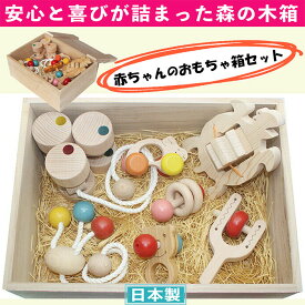 【送料無料】赤ちゃんのおもちゃ箱セット(Cタイプ)木のおもちゃ 出産祝 日本製 カタカタ はがため 歯がため おしゃぶり 赤ちゃん おもちゃ 押し車 がらがら 男の子 女の子 3ヶ月 4ヶ月 5ヶ月 6ヶ月 7ヶ月 8ヶ月 9ヶ月