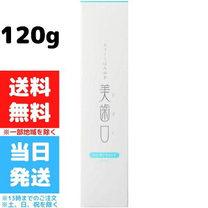 歯磨き粉 持ち運び 歯磨き粉の人気商品 通販 価格比較 価格 Com