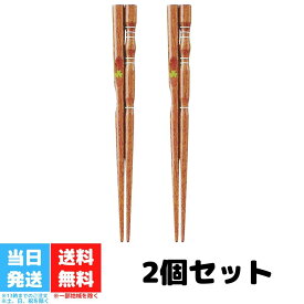 イシダ 子供用 矯正箸 しつけ箸 三点支持箸 右利き用 14cm 送料無料 2個セット