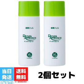 デンタアプローチ ファミリーサイズ 90g 2個セット 歯磨きジェル 口内環境改善 デンタルジェル ファミリー サイズ 歯磨き粉 歯周病予防 口臭 歯垢 ヤニ 清潔 送料無料