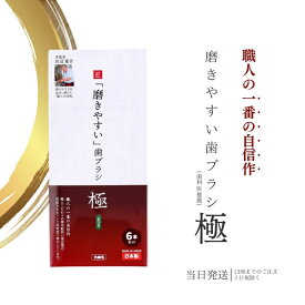 歯ブラシ職人 田辺重吉考案 LT-53 磨きやすい 歯ブラシ 極 ふつう 先細毛 6本セット 小さめヘッド ハブラシ 歯磨き 歯みがき 送料無料