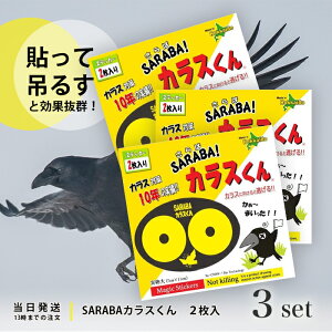 SARABA JX 2 kCoCIZN^[ JX΍ ObY ΃JX JX  悯 S~ AEghA Lv O 