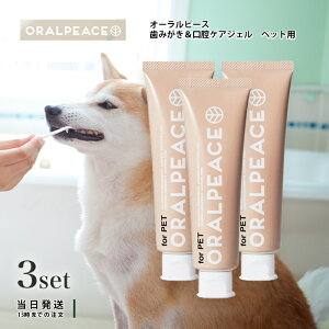 I[s[X ybgp ݂ oPAWF 3Zbg ybg ݂  L  \h oPA 