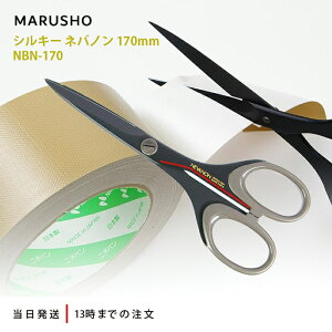 ۏ͍H VL[ lom 170mm NBN-170 O[ nT~ ͂ x^ XeX ubNR[eBO tbfR[eBO X[Y ؂ꖡ 