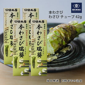 田丸屋本店 静岡本わさび わさび チューブ 42g 4個セット 山葵 静岡 無着色 本わさび 水葵 瑞葵 調味料 送料無料