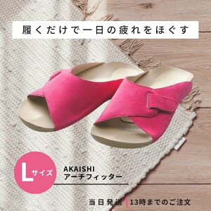 AKAISHI A[`tBb^[ 603 [Y LTCY w T_ Xbp [V[Y  ₦  si A[`T|[g O ؖ 