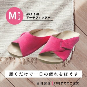 AKAISHI A[`tBb^[ 603 [Y MTCY w T_ Xbp [V[Y  ₦  si A[`T|[g O ؖ 