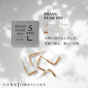 BRASS プッシュピン Lフック 5sets Horn Please by Recreational Vehicle 真鍮 壁 金具 押しピン ハンガー おしゃれ ギフト L字フック 引っ掛け PUSH PIN 送料無料