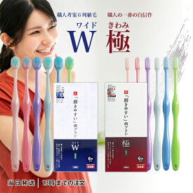 【2種から選べる】 磨きやすい歯ブラシ 極 / ワイド 6本セット LT-53 / LT-56 田辺重吉考案 職人の歯ブラシ 磨きやすい 歯ブラシ 極 ふつう 先細毛 6列植毛 ライフレンジ 小さめヘッド ハブラシ 歯磨き 歯みがき 送料無料