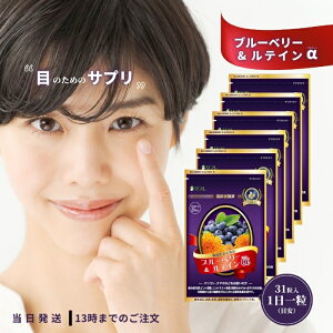 ブルーベリー&ルテイン α31粒 6個セット 機能性表示食品 紫外線 ぼやけ かすみ アイケア プレゼント