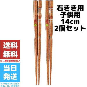 矯正箸 子供の人気商品 通販 価格比較 価格 Com