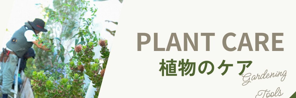 plant care