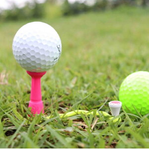 VR[XeB[ o[fB79 Birdie79 h~XgOt ǐՃ[֑ |Cg V[geB[ OeB[