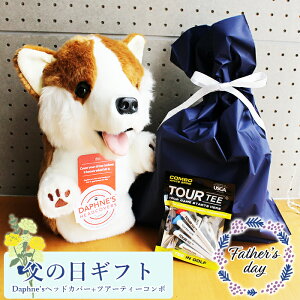̓ ̓ StMtg Daphne'swbhJo[{TOUR TEE R{Zbg  St  ʔ Eh _tBj[Y wbhJo[  r[  Iׂ Mtg v[g a