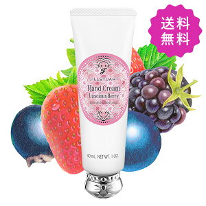 JILL STUART WX`A[g VXx[nhN[ 30g yj[Aiz `O