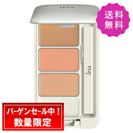 IPSA イプサ クリエイティブコンシーラーe SPF25・PA+++ 4.5g ★定形外送料無料
