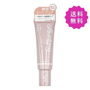 Wonjungyo EHW g[Abvx[X #01 PEACH PINK SPF44 PA+++ 25g ؍RX `O