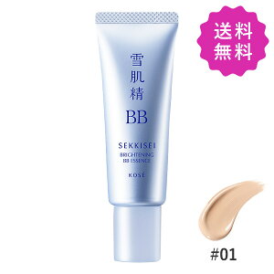 KOSE R[Z[ ᔧ uCgBBGbZX #01 LIGHT OCHRE SPF50+ PA++++ 30g `O