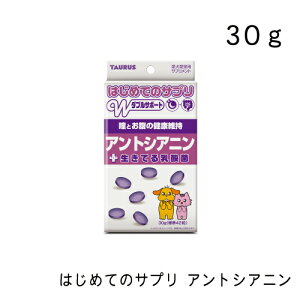 ͂߂ẴTv AgVAjE30g g[X p Lp Tvg   Ȃ  N _