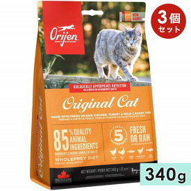 【3個セット】ORIJEN オリジン オリジナルキャット 340g 成猫用 高齢猫用 シニア猫用 子猫用 全猫種用 キャットフード ドライフード アカナファミリージャパン 正規品