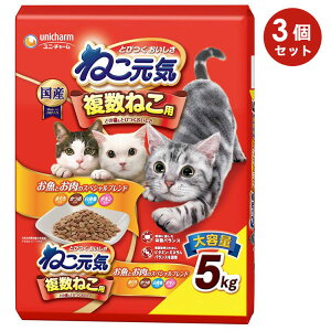 y3Zbgz˂C ˂p Ƃ̃XyVuh ܂EEgE`L 5kg Lp Lp VjALp qLp Lbgt[h hCt[h j`[