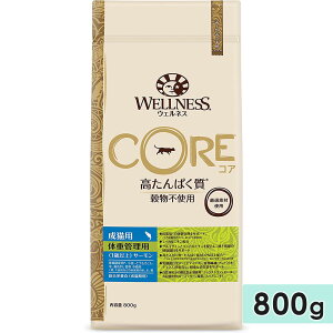 EFlX RA T[ 800g Lp SLp ̏dǗp 1Έȏ Lbgt[h hCt[h ^pN sgp OCt[ AM[ _CGbg WELLNESS Ki