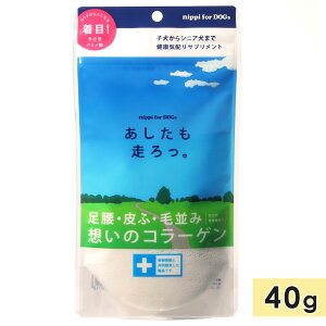 Tvg R[Q pN⏕Hi  40g A~m_ qVjA܂    V