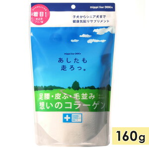 Tvg R[Q pN⏕Hi  160g A~m_ qVjA܂    V